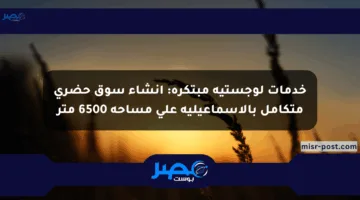 خدمات لوجستية مبتكرة: إنشاء سوق حضري متكامل بالإسماعيلية على مساحة 6500 متر